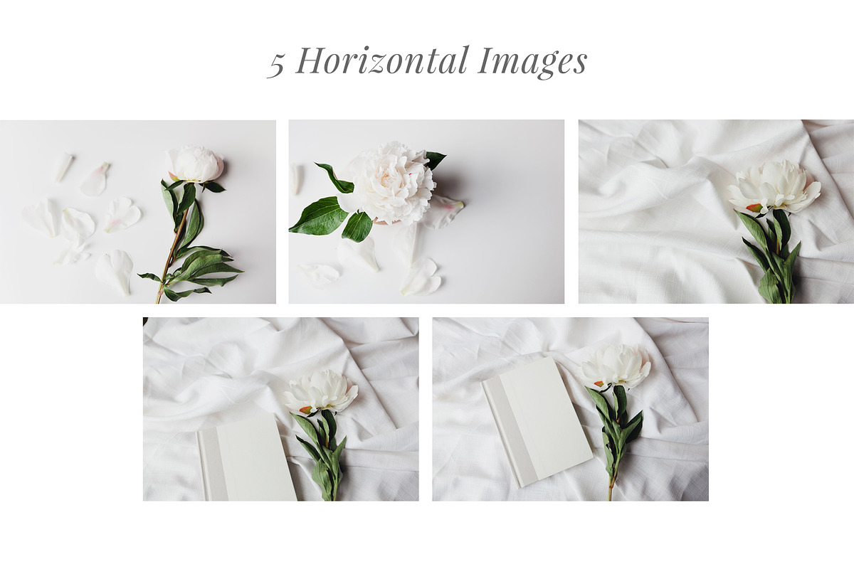 White Peony Bundle + Bonus, an Arts & Entertainment Photo by Light & Grace (Photo 2 of 8)