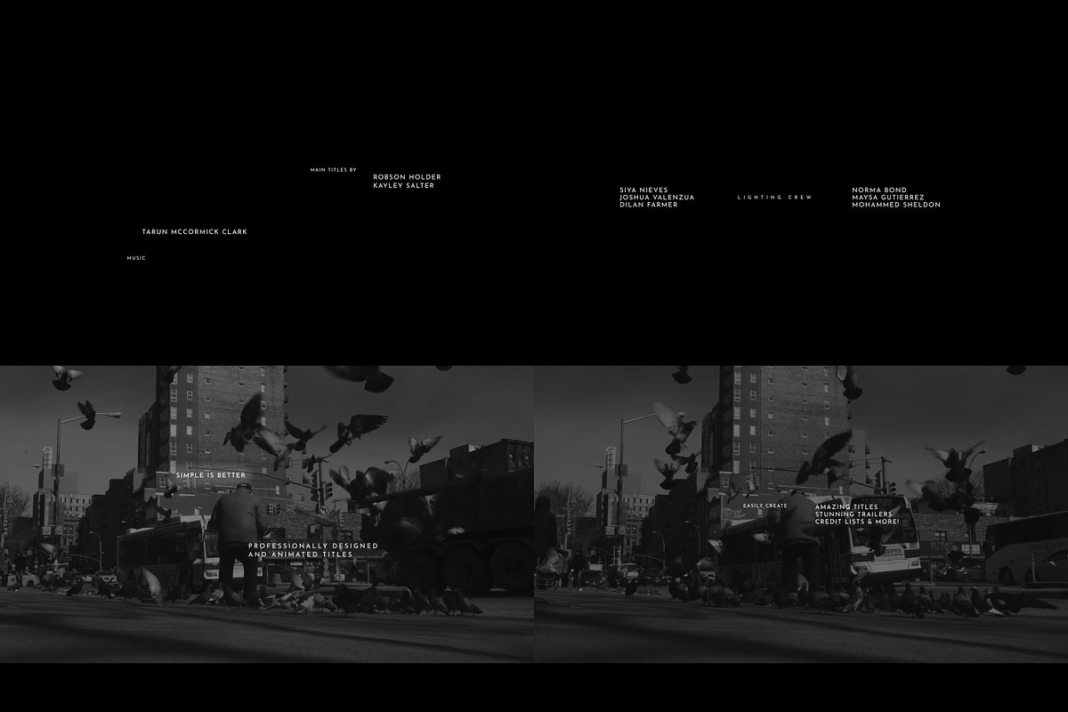 Titles Elegant Cinematic (Premiere), a Templates & Theme by Atamotion (Photo 7 of 8)