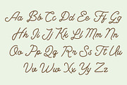 Lasso Monoline, a Script Font by Loudoun Design Co. (Thumbnail 5 of 8)