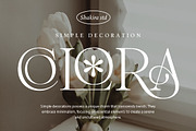 Splendor Escape - Elegant Serif, a Serif Font by Shakira Studio (Thumbnail 2 of 12)
