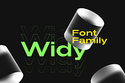 Widy Font Family, a Sans Serif Font by Pasternak Fonts