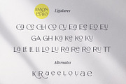 Handwritten Fonts and more Bundle, a Sans Serif Font by VladCristea (Thumbnail 51 of 58)