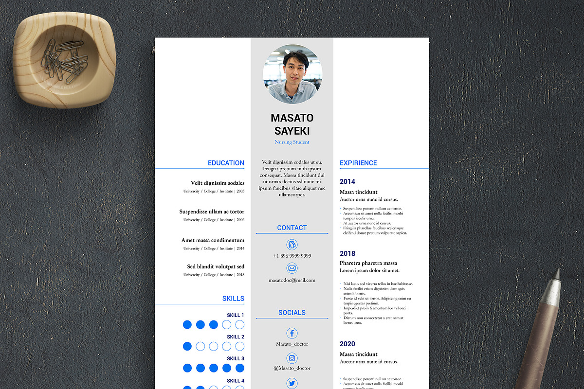 2 Nursing Resume Templates, a Resume Template by Halfcircle (Photo 2 of 4)