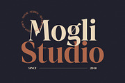 Angeli Elegant Serif Font, a Serif Font by Graphicxell (Thumbnail 2 of 8)