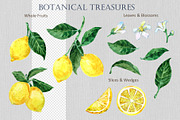 Amalfi Lemon Watercolor & Ink Kit, an Object Illustration by FineArt (Thumbnail 7 of 10)