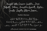 William Jameson Font, a Handwritten Font by Letterhanna Studio (Thumbnail 4 of 15)
