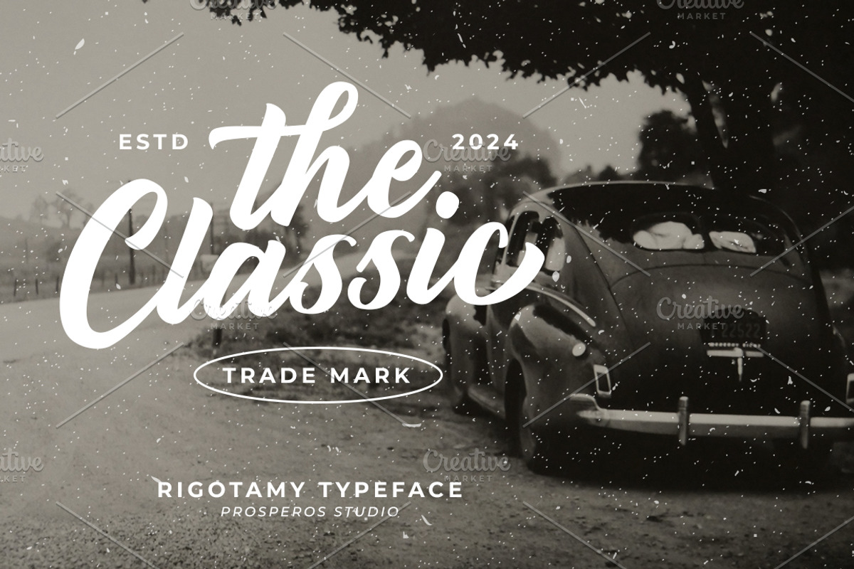 Rigotamy - Script Font, a Script Font by prps.std (Photo 2 of 6)
