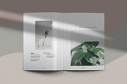 Quaro & Gillen - Botanical Brochure, a Magazine Template by KAZ by IanMikraz Studio (Thumbnail 9 of 11)