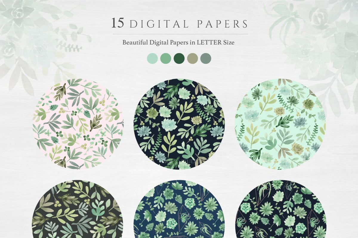 Botanist II - Airplants & Succulents, a Texture Illustration by Momo Studio (Photo 12 of 15)