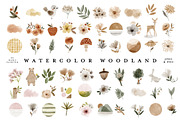 64 Boho Woodland Animal Clipart, an Animal Illustration by beatriceviyiwi (Thumbnail 2 of 6)