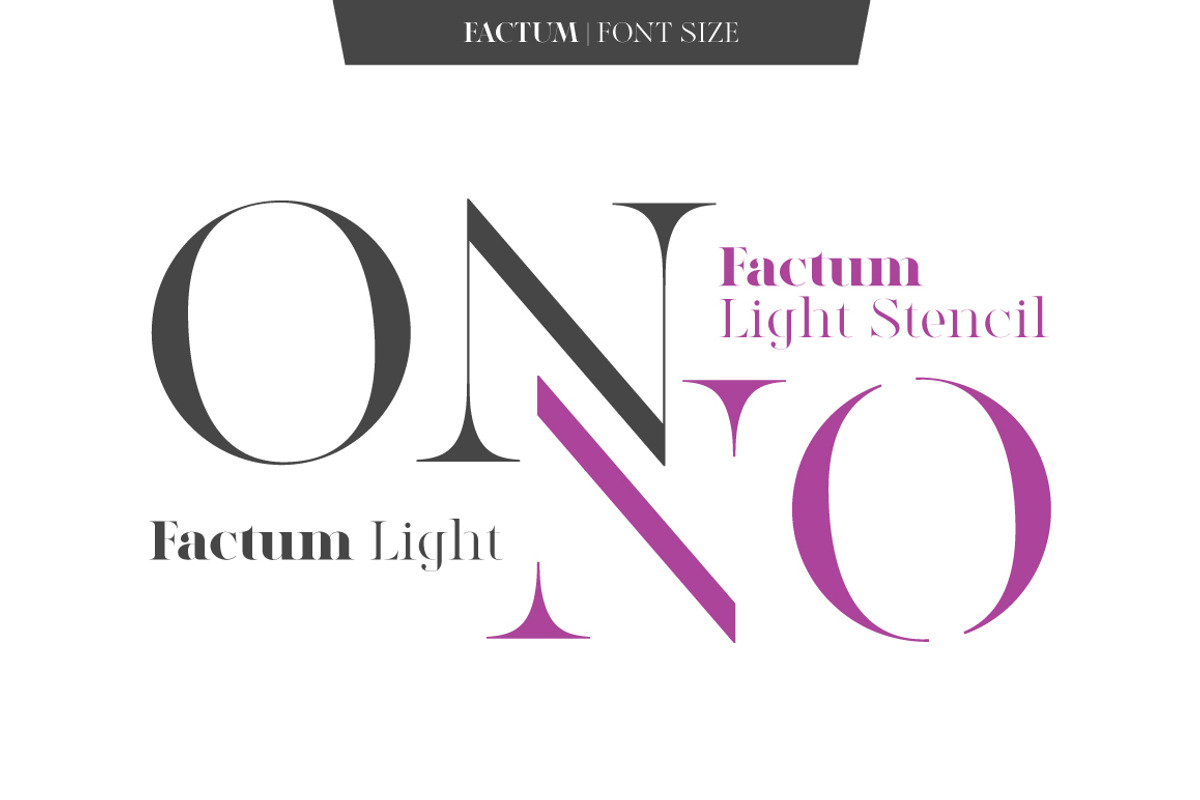 Factum font family, a Serif Font by Fontop (Photo 11 of 12)