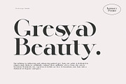 Lugife Elegant Serif, a Serif Font by Perfectype (Thumbnail 2 of 9)