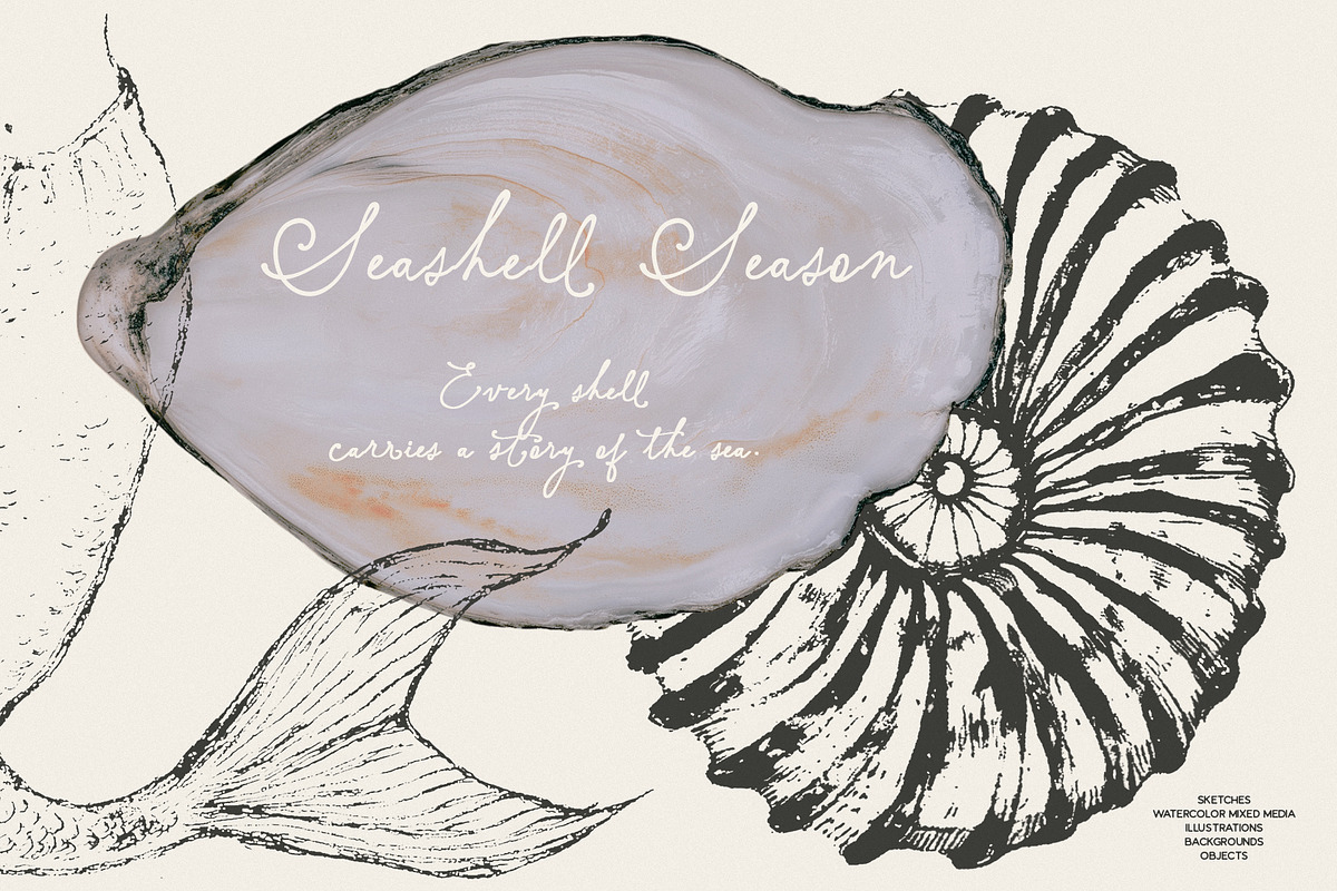 Seashell Season – Coastal Pack, an Object Graphic by Purple (Photo 10 of 12)