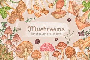 Forest watercolor mushrooms clipart