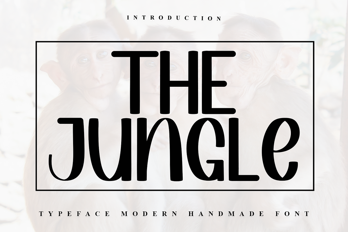 THEJungle, a Sans Serif Font by FreshTypeINK (Photo 1 of 7)