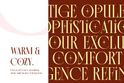 Morside - Modern Classic Serif, a Serif Font by Arterfak Project (Thumbnail 9 of 14)