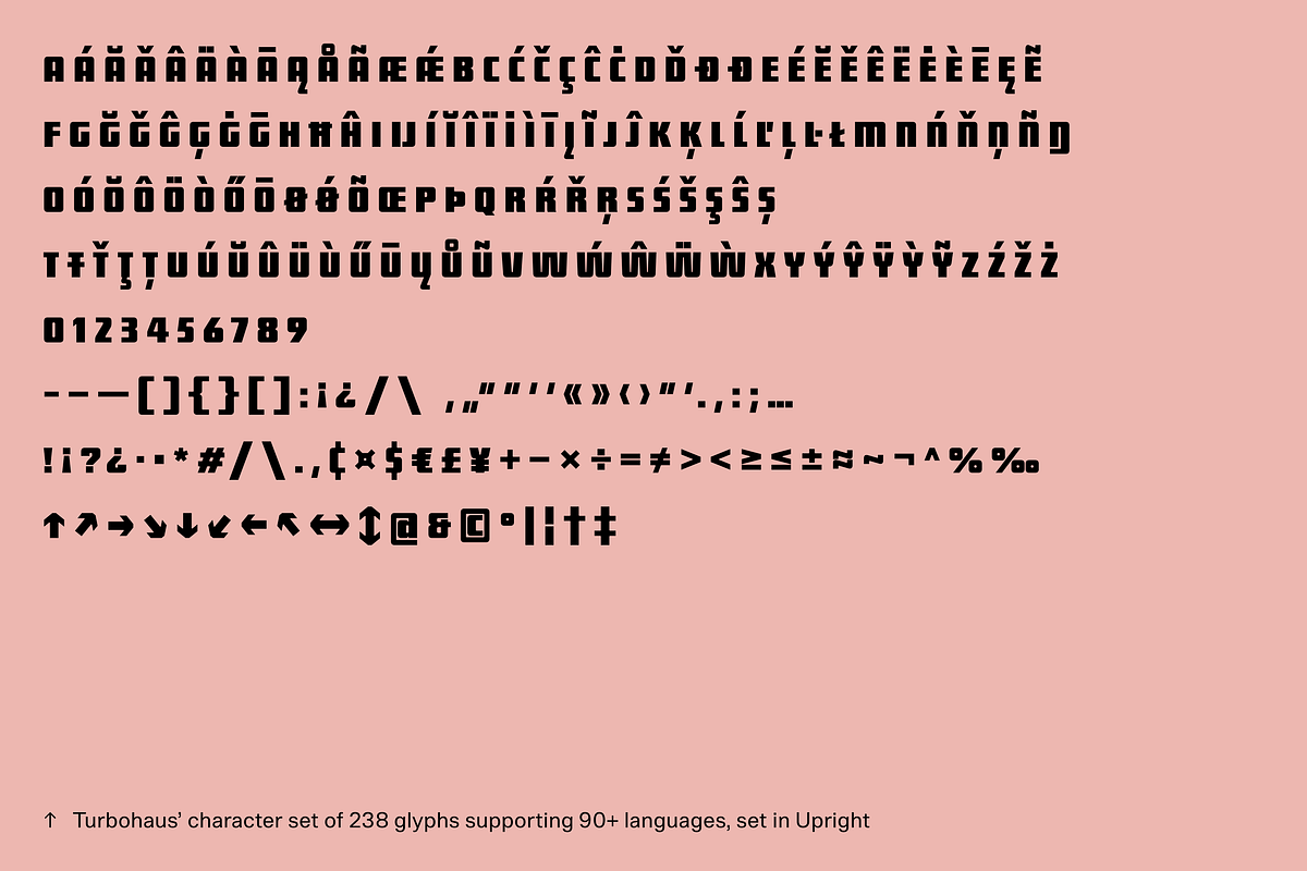 Turbohaus, a Sans Serif Font by Nameless Type Foundry (Photo 4 of 10)