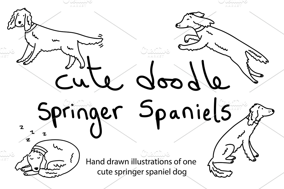 Cute Doodle Springer Spaniels, an Animal Illustration by Liz Pengilley Studio (Photo 1 of 4)