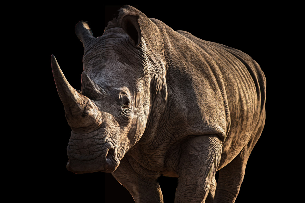 Endangered Rhinoceros Illustration, an Animal Illustration by Digital Art Downloads (Photo 2 of 3)