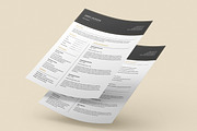 Resume/CV - Classic Gold, a Resume Template by 3Angle (Thumbnail 5 of 5)