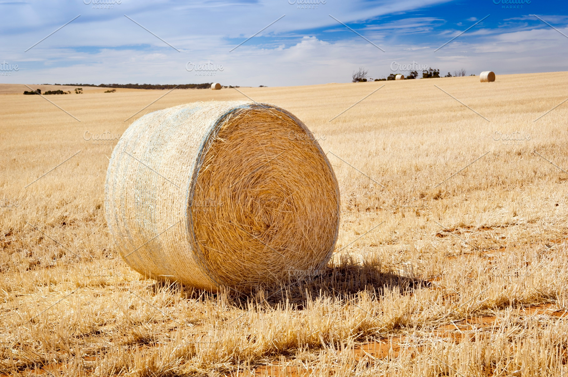 Farming Field, a Nature Photo by THP Creative