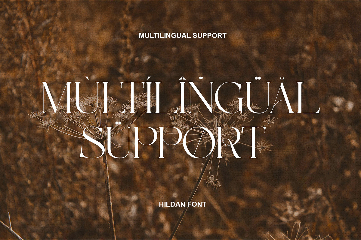 Hildan Modern Ligature Serif, a Serif Font by Alfinart (Photo 8 of 10)