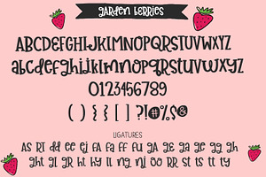 Garden Berries Handwritten Font