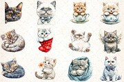 Selkirk Rex Cat Clipart, an Illustration by DreamCafeArt (Thumbnail 5 of 5)