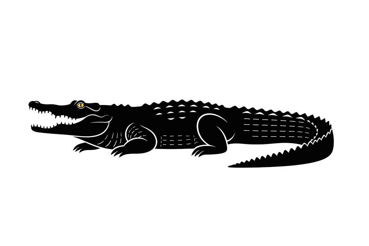 Crocodile Alligator Vector Bundle, an Illustration by jahid234 (Photo 46 of 51)