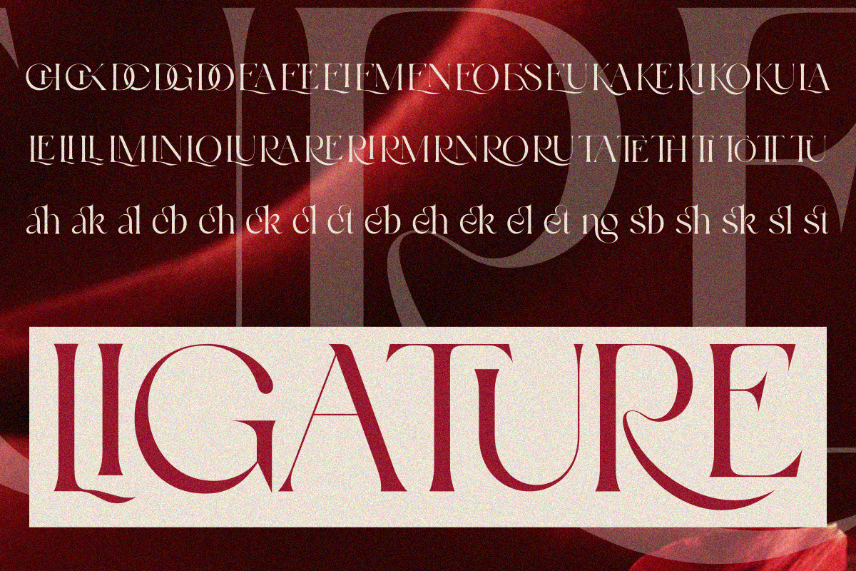Wosh, a Serif Font by zaaintype (Photo 5 of 12)