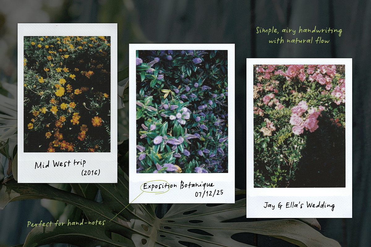 Botanicale | Handwritten Font, a Handwritten Font by type peace (Photo 11 of 18)