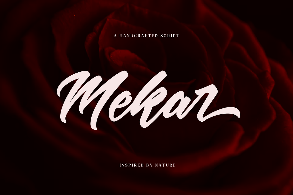 Mekar - Logotype, a Script Font by ShowUp! Studio (Photo 7 of 13)