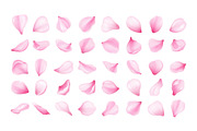 Pink sakura petal collection set, an Object Illustration by Yayasya (Thumbnail 1 of 3)