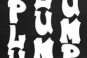 Plump Parade, a Serif Font by Dm Studio (Thumbnail 2 of 10)