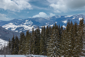 Winter snowy Carpathian mountains, Ukraine, a Nature Photo by YuriyB