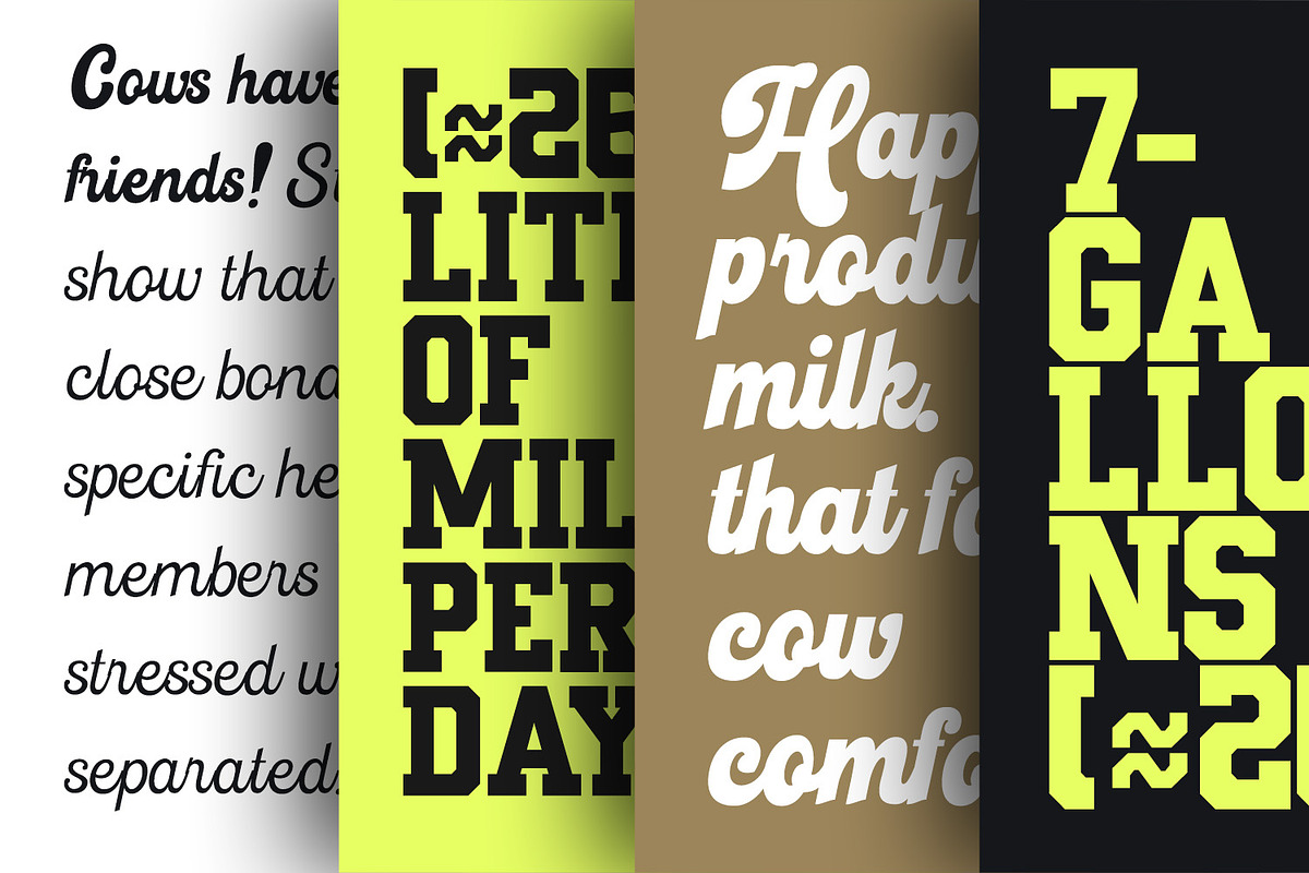 Breaker Rockin, a Script Font by Nathatype (Photo 16 of 21)
