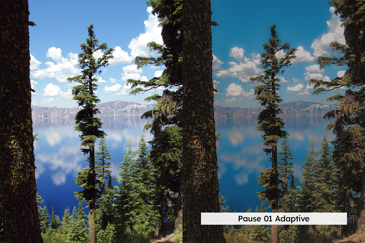 20 Vintage Nature Lightroom Presets, a Preset Add-On by SparkleStock (Photo 9 of 17)