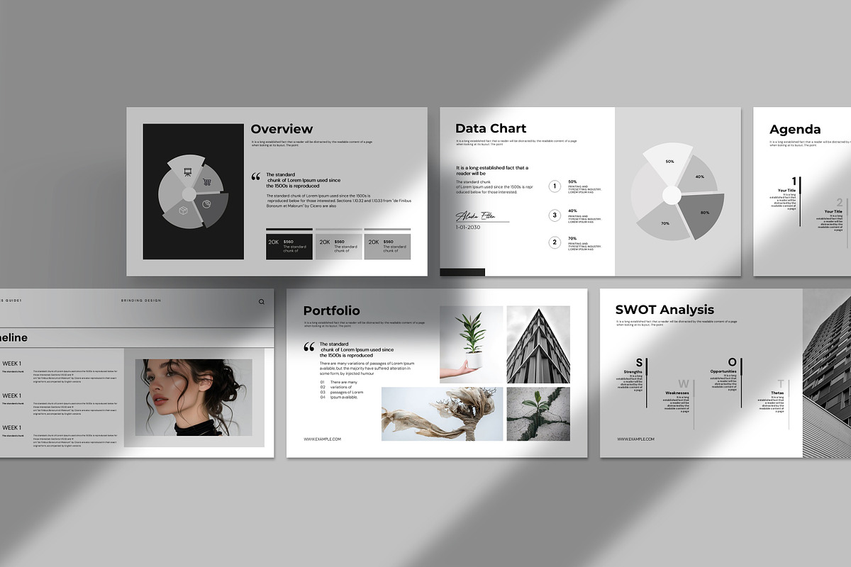 Minimal Presentation Template, a Presentation Template by Alvi-Studio (Photo 4 of 8)