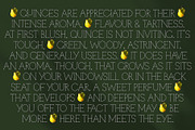 Quinces – A Delicate Display Serif, a Serif Font by Local Desk Designstudio (Thumbnail 10 of 11)