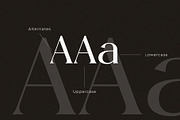 Rogles - Luxury Display Serif, a Serif Font by GridlineType (Thumbnail 9 of 10)