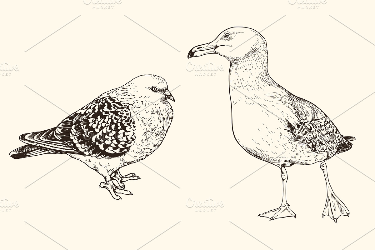 Hand Drawn Animals, an Animal Illustration by Artspace (Photo 2 of 6)