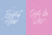 Birdspring Signature, a Script Font by Rillatype (Thumbnail 8 of 13)
