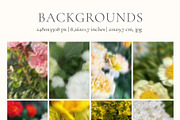 Blurry Flowers Abstract Backgrounds, a Background Graphic by Yuliya Derbisheva (Thumbnail 9 of 12)