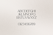 Story Type elegant typeface 18 fonts, a Serif Font by VP Fonts (Thumbnail 11 of 16)