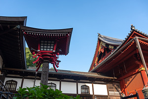 Gojoten Hanazono Inari Shrine architecture in Ueno, Tokyo, Japan, an Architecture Photo by GoodGoods
