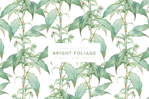 Bright Foliage