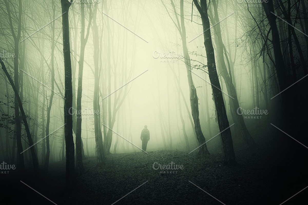 Halloween Forest pack 2018 Hi Res, a Nature Photo by Atmospheric visuals (Photo 8 of 11)