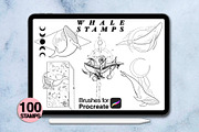 100 procreate whale stamps, a Brush Add-On by Arts For Peace (Thumbnail 7 of 9)