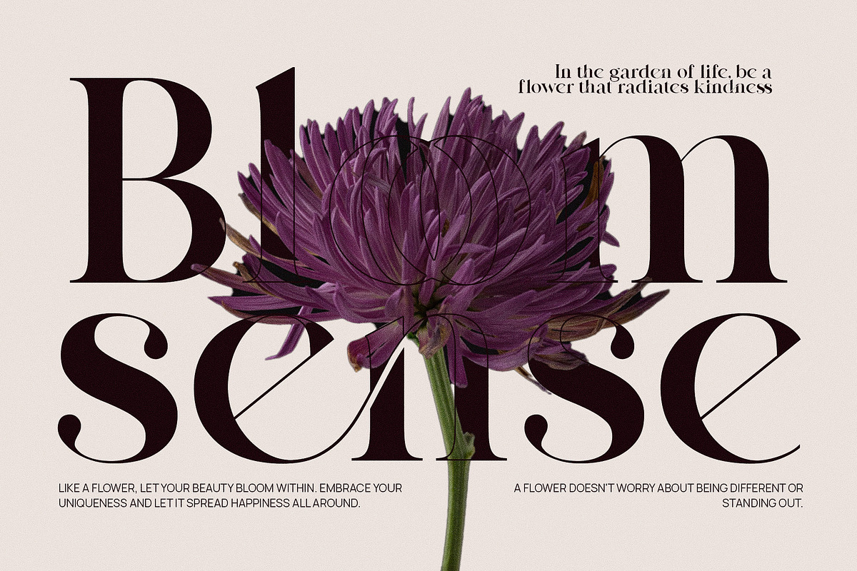 Rastings Macker Ligature Serif Font, a Serif Font by Graphicxell (Photo 3 of 10)