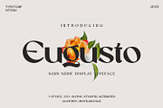 Eugusto Display Typeface, a Sans Serif Font by Typetemp Studio (Thumbnail 26 of 26)